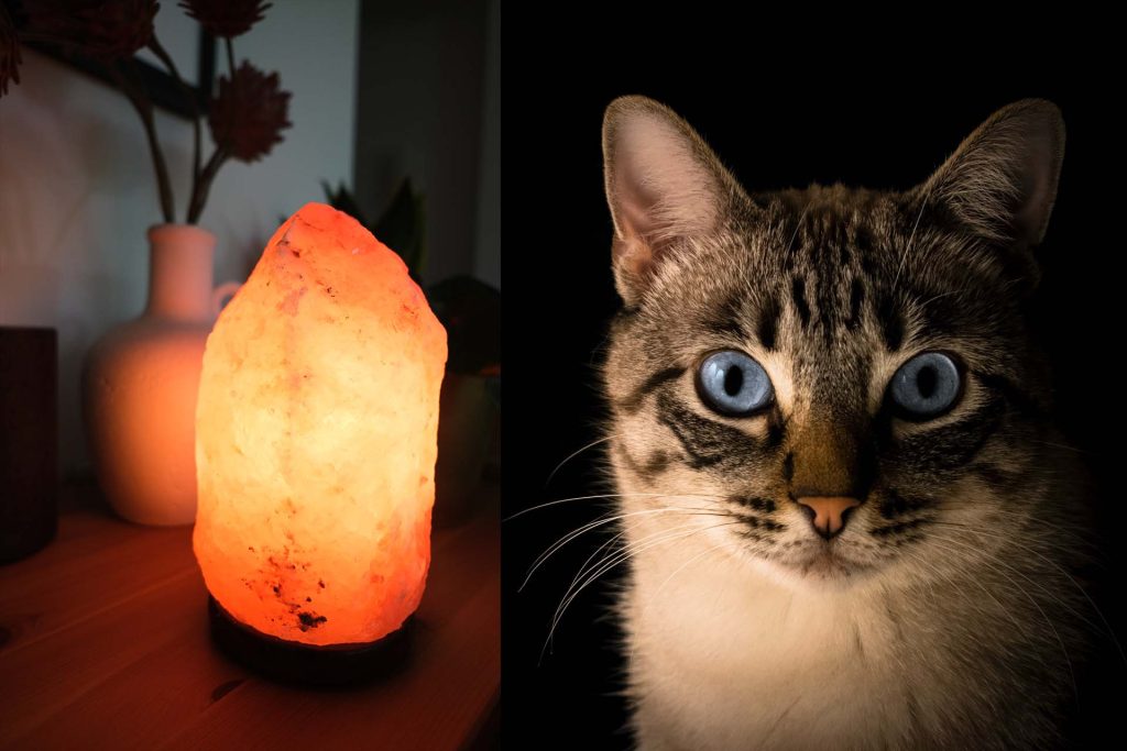  What are salt lamps? 